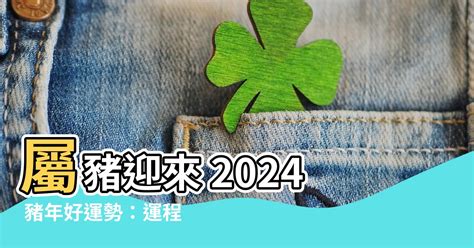 屬豬的幸運色|2024豬年開運色速查